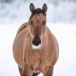 0001-Wally-07_01_2021