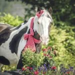 0003-Bounty-mit-Schleife-08_08