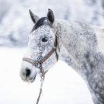 0003-Jacky-SRR-07_01_2021