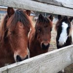 9717237f-8ec3-48dc-8a06-af654b