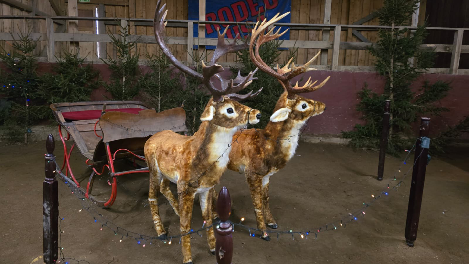 15182c0d-d22a-4597-9fb4-6eb24d720c87