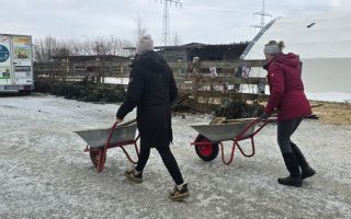 33790a32-8322-4ba2-b40d-bcec5cdee4fd