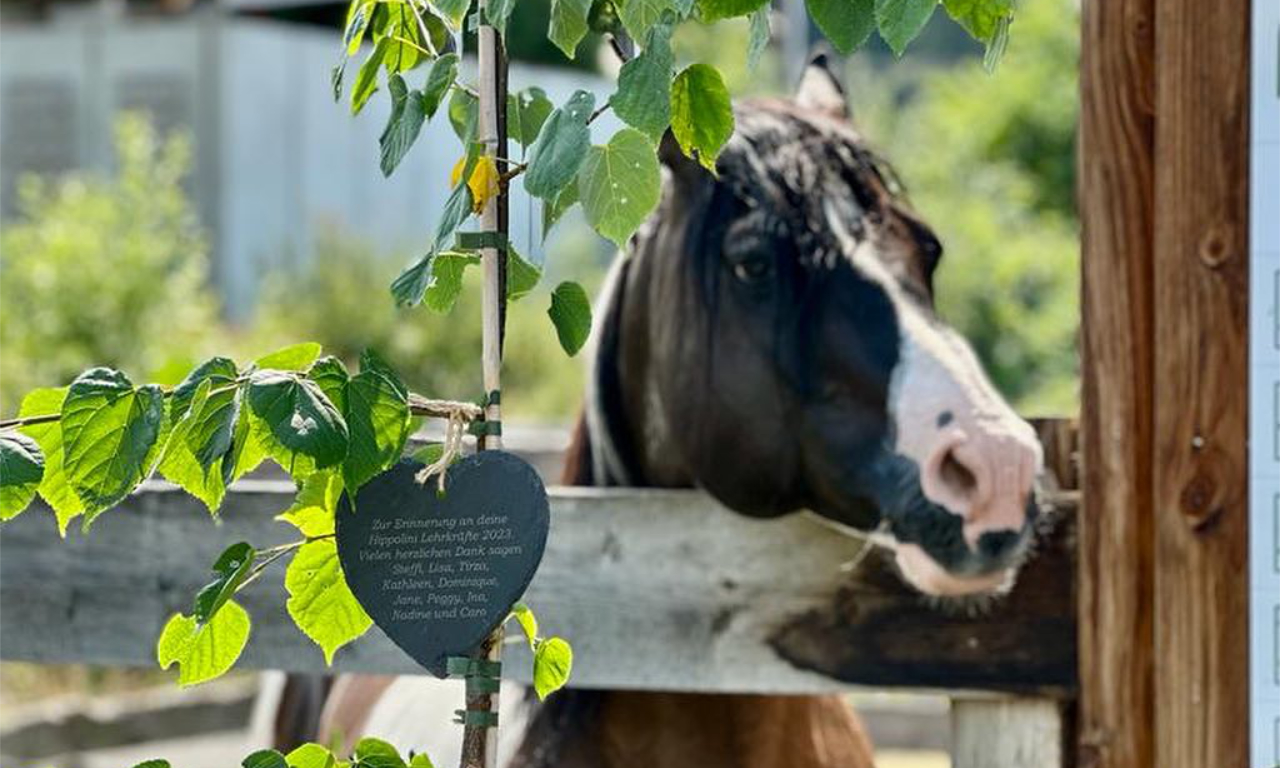 347420015_791794552946542_9037435874089431011_n (1)