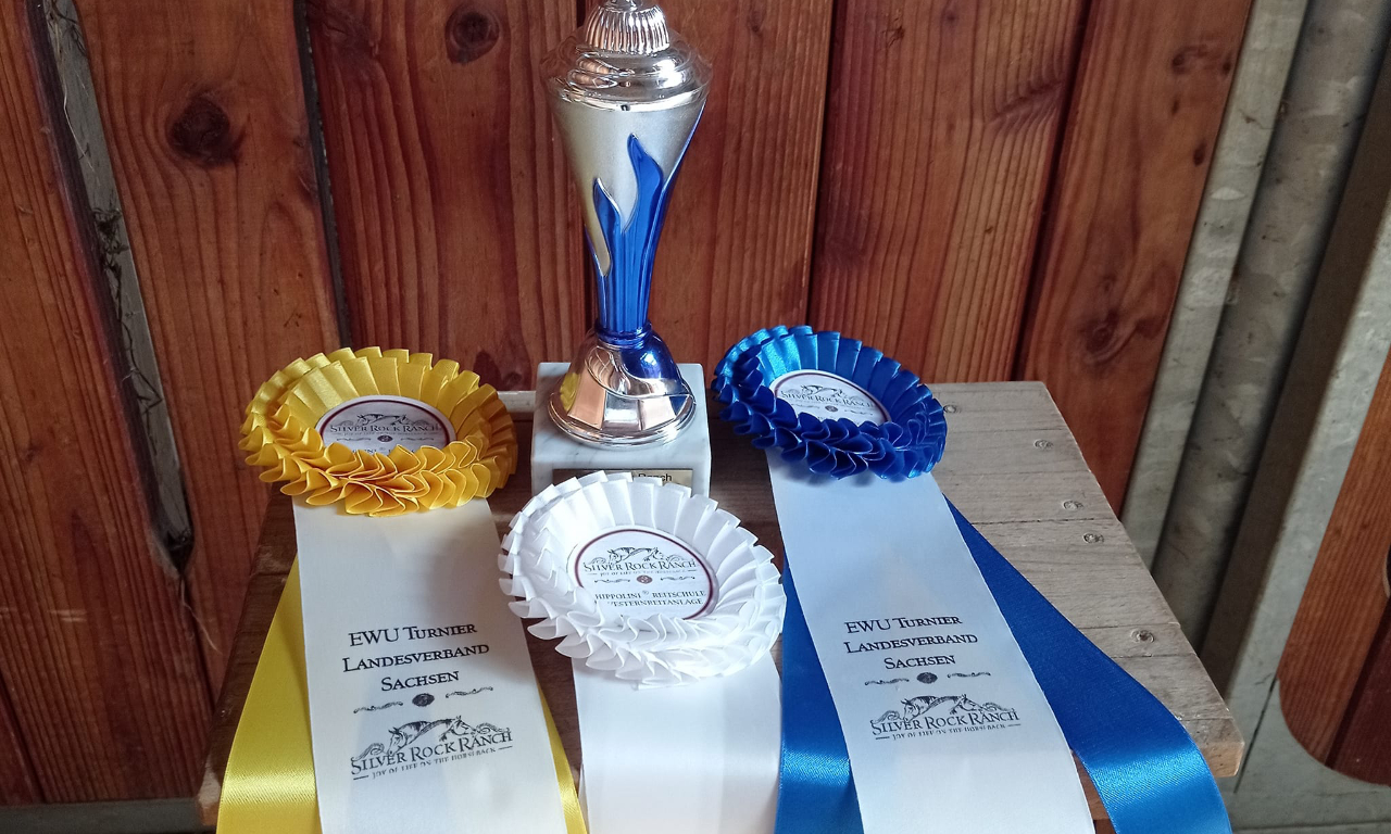 358116268_6313524908765003_1024413816239195518_n