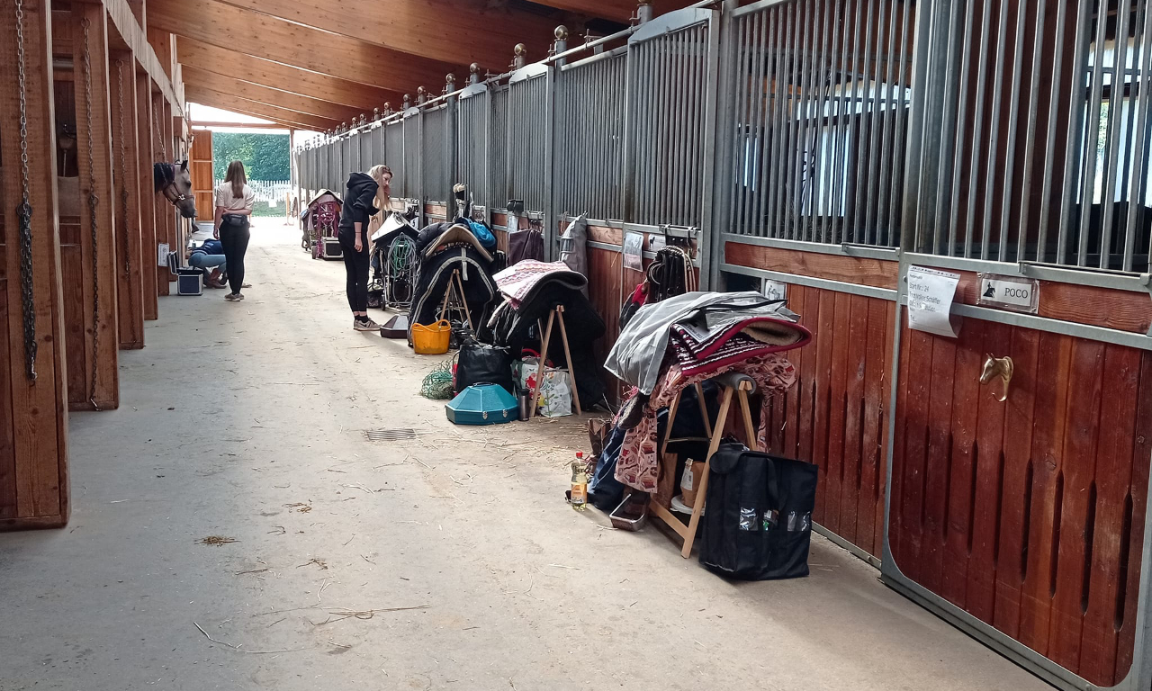 358401078_6313512448766249_2477979168865524288_n