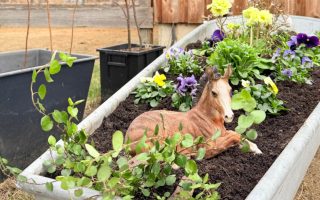 55e4b54f-0989-46fe-908e-9b00377842e4