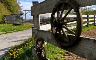 IMG_3652 (1)