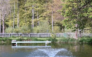 IMG_3666