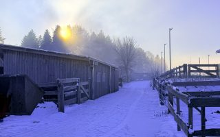 IMG_5020