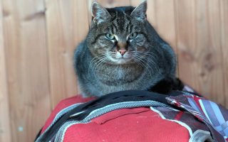 IMG_6649