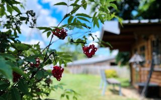 IMG_7963 (3)