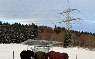 IMG_8409 (3)
