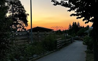 IMG_8551