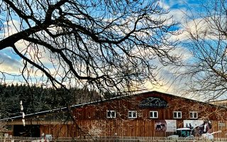 IMG_8946