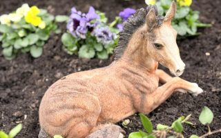 b24ac8fa-6e72-4db3-bdbe-292d396a6355