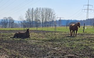 c8daa77b-997b-4f63-a431-cde053bc8410