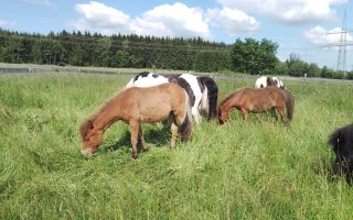 fc337f36-e02c-4e61-b8a2-d2e33385bf99