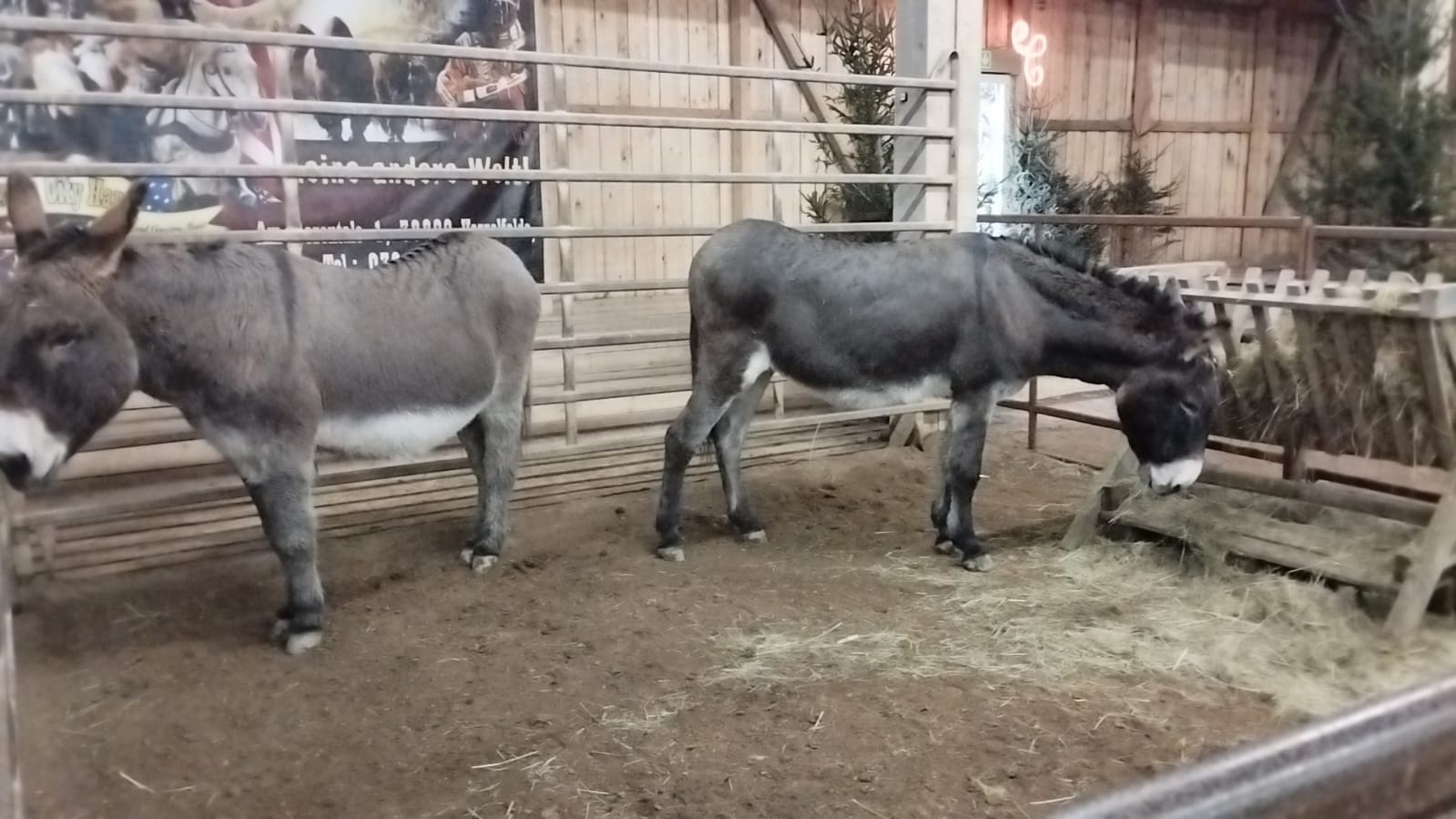 fca70ddd-8ea3-42ad-b2b1-a6fb263745f1