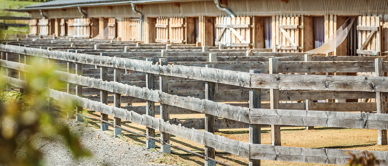 Stable wing at the arena