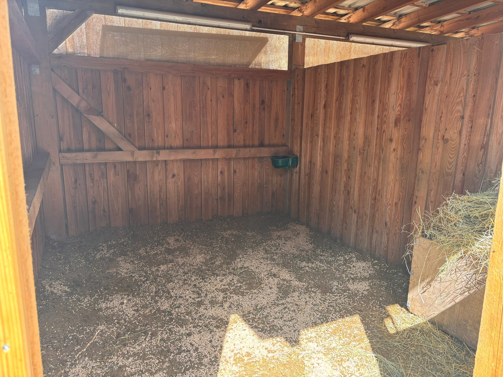 Inside a guest box