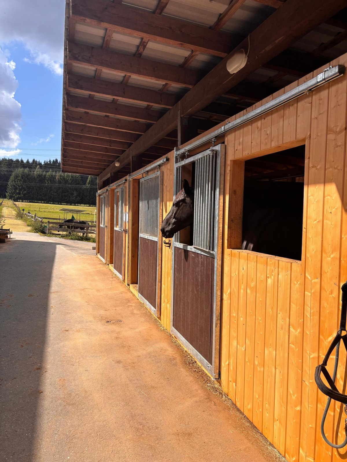 Stable wing with guest boxes